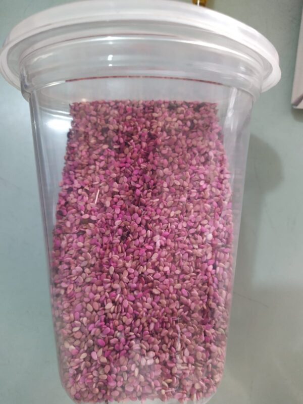 Tilli Seeds - Image 2