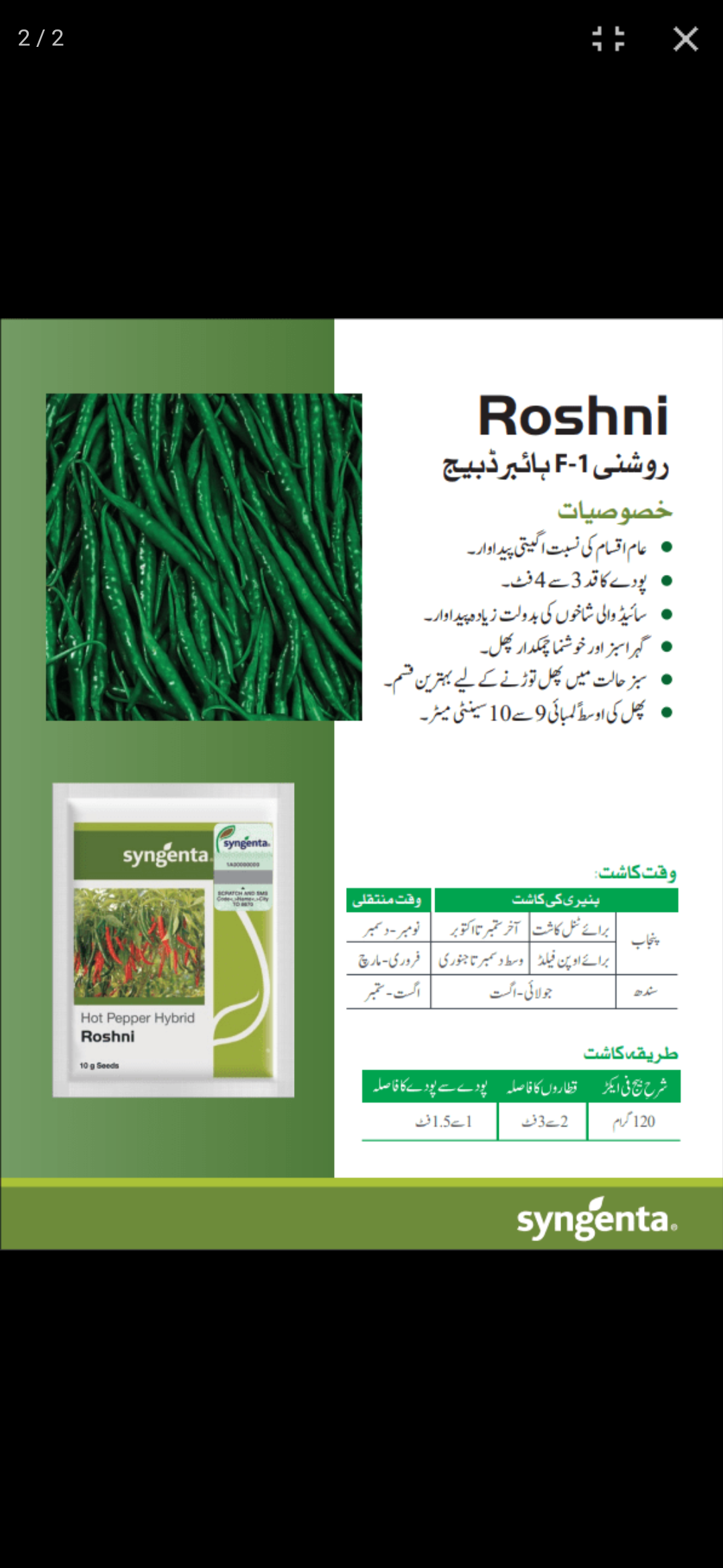 Roshni Hot pepper 🌶️ روشنی مرچ