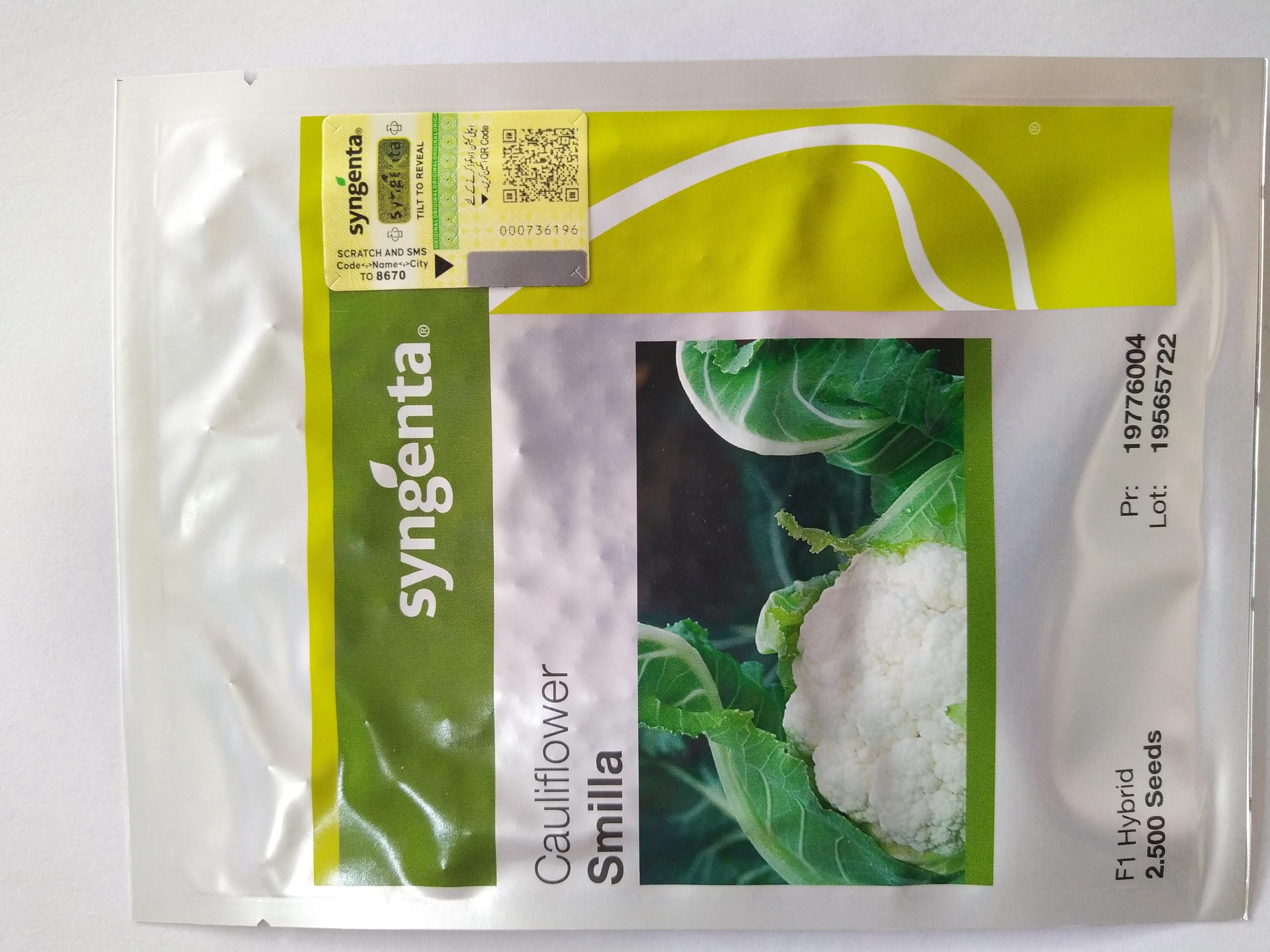 Smila Cauliflower Syngenta